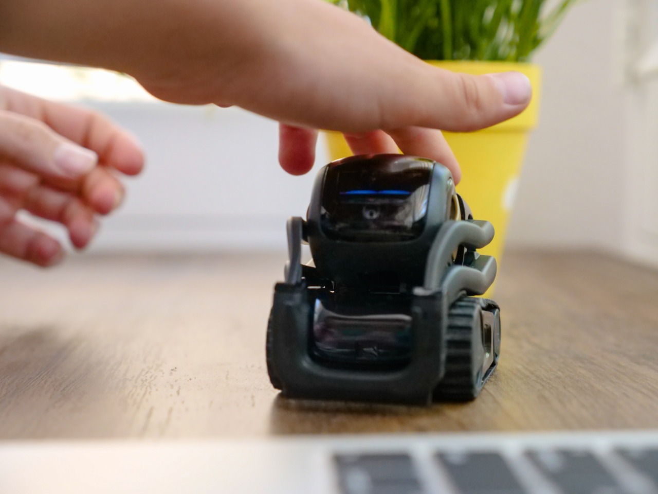 Imagens da construção e inspiração para o Robô